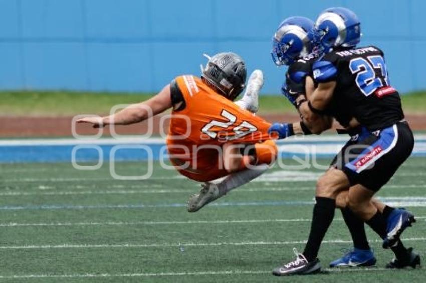 FÚTBOL AMERICANO . BORREGOS VS LEONES
