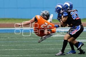 FÚTBOL AMERICANO . BORREGOS VS LEONES