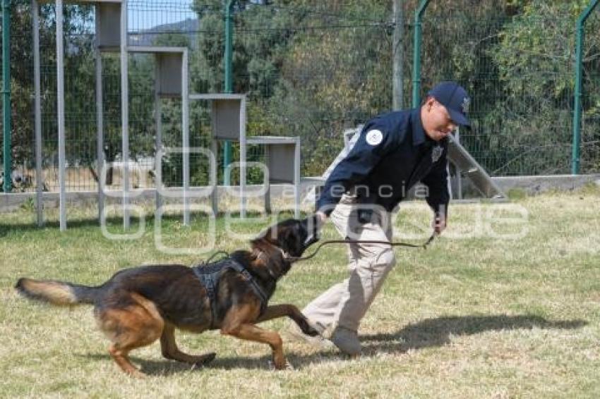 TLAXCALA . UNIDAD CANINA K-9