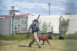 TLAXCALA . UNIDAD CANINA K-9