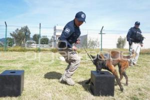 TLAXCALA . UNIDAD CANINA K-9