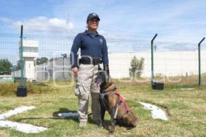 TLAXCALA . UNIDAD CANINA K-9