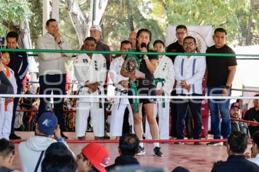 GOBIERNO ESTATAL . TEJIENDO PAZ