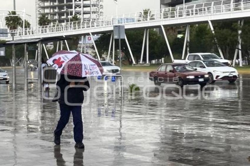 CLIMA . LLUVIA