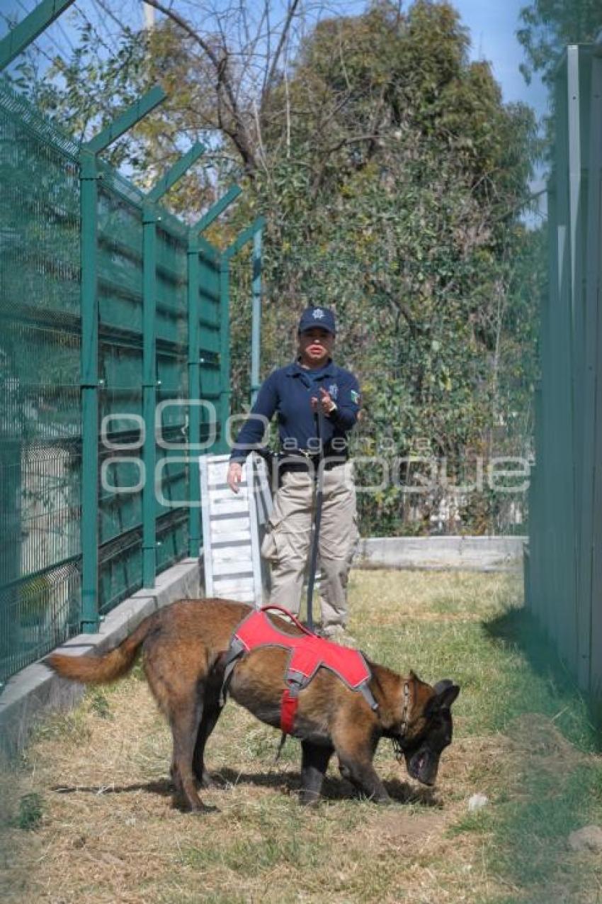 TLAXCALA . UNIDAD CANINA K-9