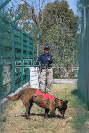 TLAXCALA . UNIDAD CANINA K-9