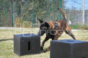 TLAXCALA . UNIDAD CANINA K-9