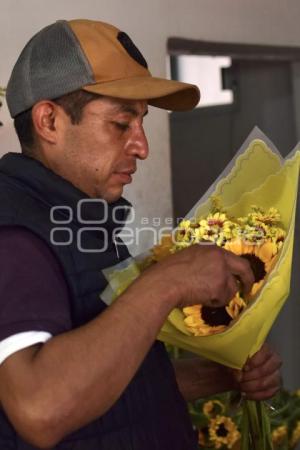TLAXCALA . FLORES AMARILLAS