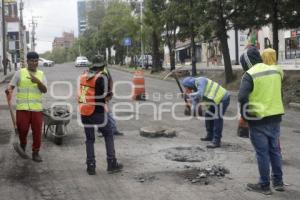 REHABILITACIÓN . CALZADA ZAVALETA
