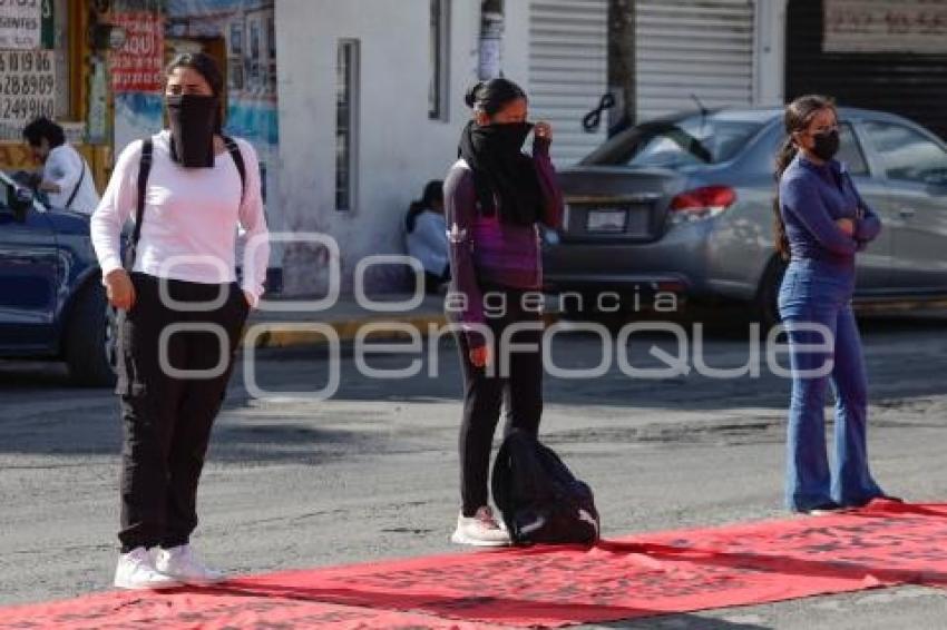 MANIFESTACIÓN . NORMALISTAS
