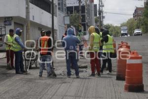 REHABILITACIÓN . CALZADA ZAVALETA