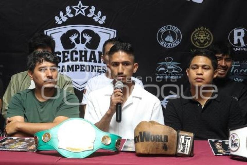BOX . COSECHANDO CAMPEONES