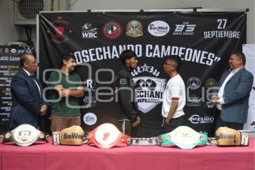 BOX . COSECHANDO CAMPEONES