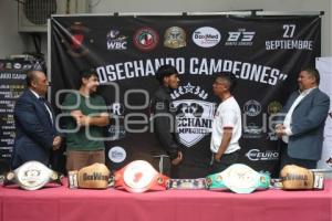BOX . COSECHANDO CAMPEONES