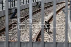 TREN TURÍSTICO