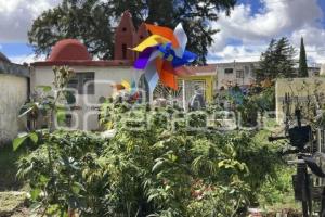 PANTEÓN GUADALUPE . MARIHUANA