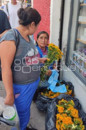 ATLIXCO . FLOR DE PERICÓN