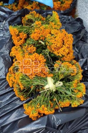 ATLIXCO . FLOR DE PERICÓN