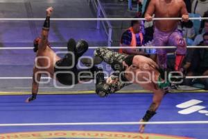 LUCHA LIBRE
