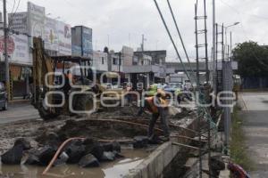 CENTRAL DE ABASTO . BARDA PERIMETRAL