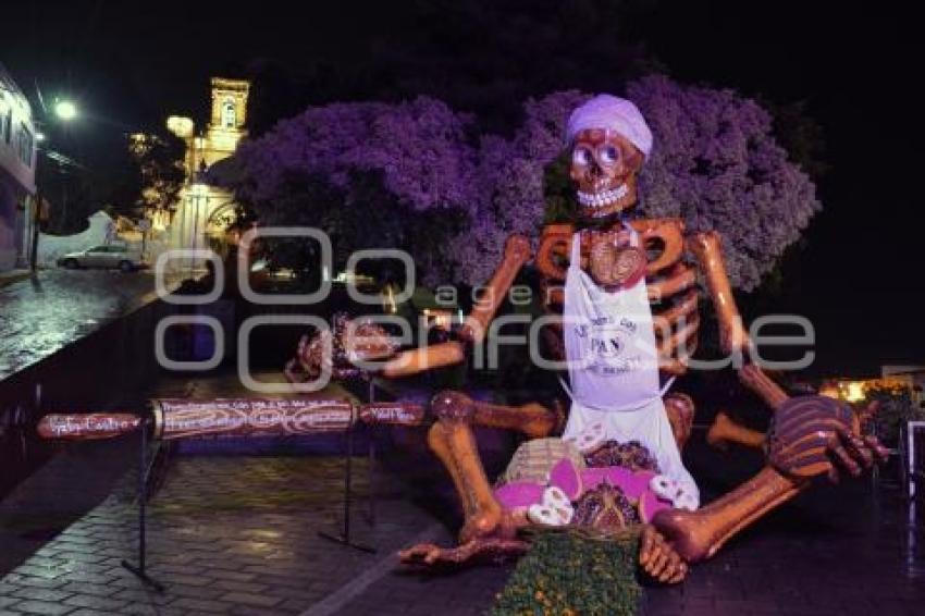 ATLIXCO . VALLE DE CATRINAS