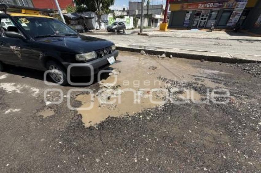BACHES
