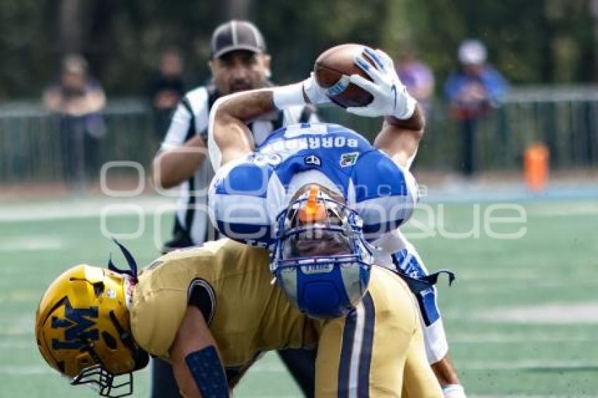 FÚTBOL AMERICANO . BORREGOS VS PUMAS