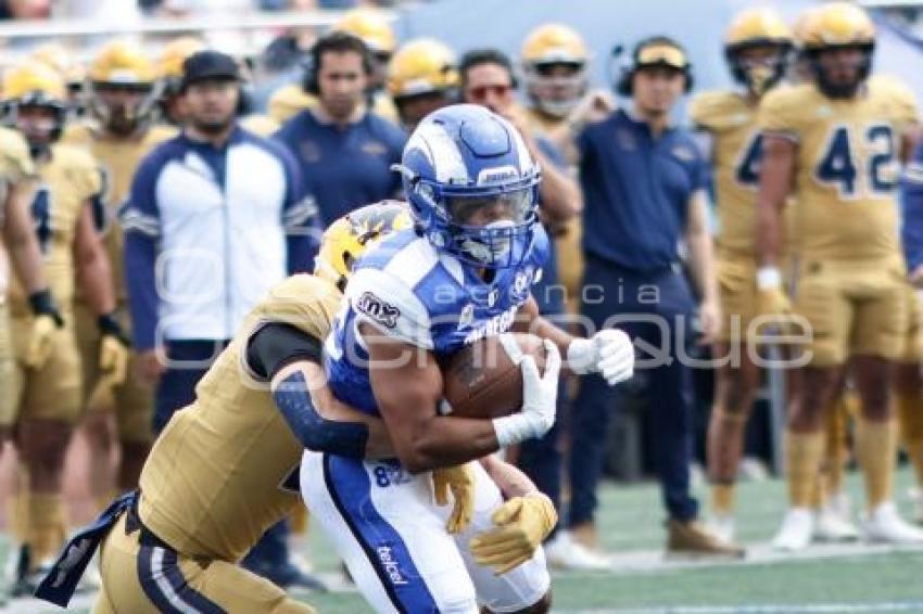 FÚTBOL AMERICANO . BORREGOS VS PUMAS