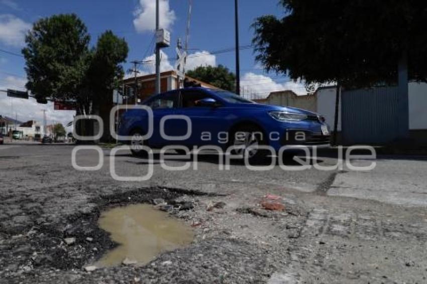 BACHES