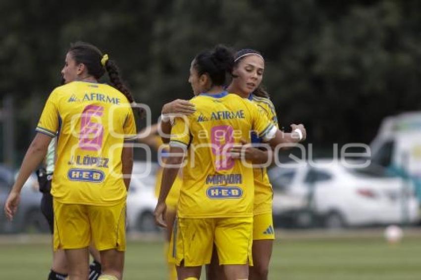 FÚTBOL FEMENIL . PUEBLA VS TIGRES