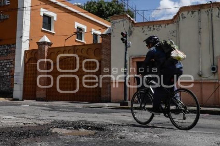 BACHES