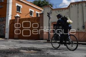 BACHES