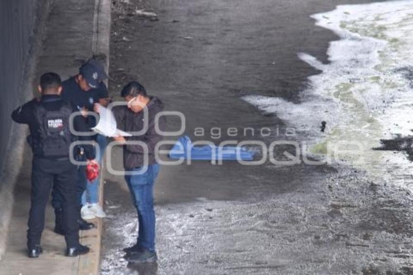 CADÁVER . PERIFÉRICO ECOLÓGICO