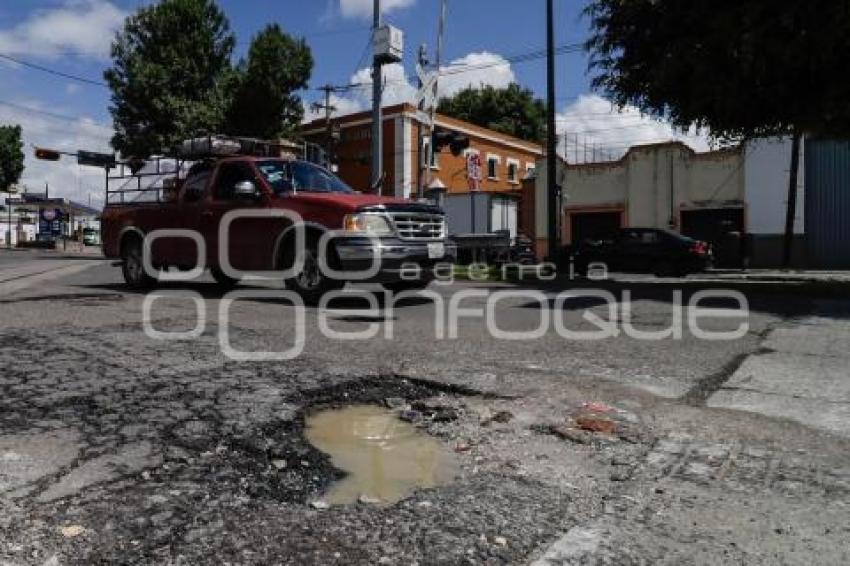 BACHES