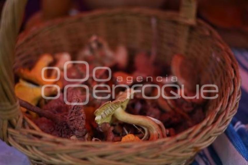 TLAXCALA . MUESTRA GASTRONÓMICA