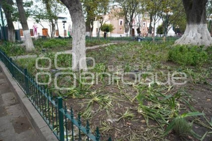 TLAXCALA . JARDINERAS DAÑADAS