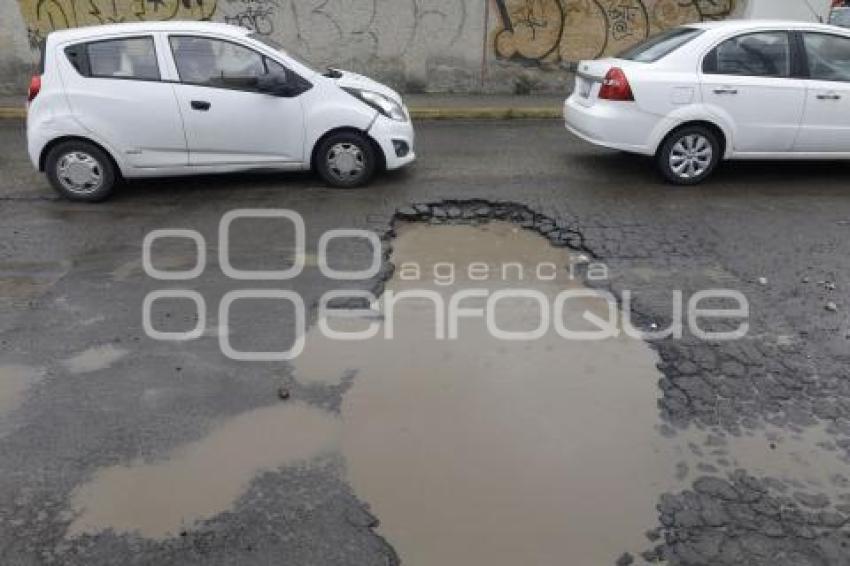 BACHE . BUGAMBILIAS 