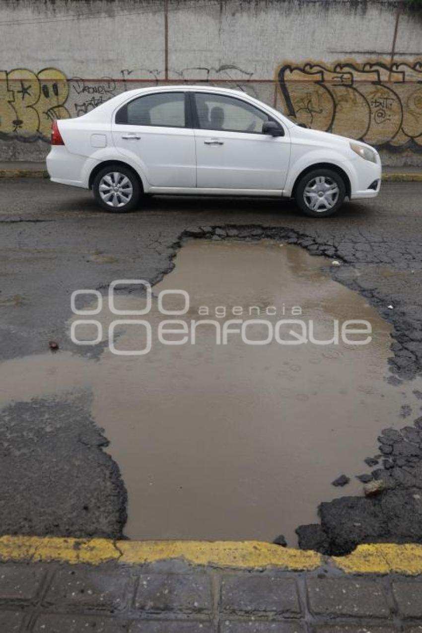BACHE . BUGAMBILIAS 