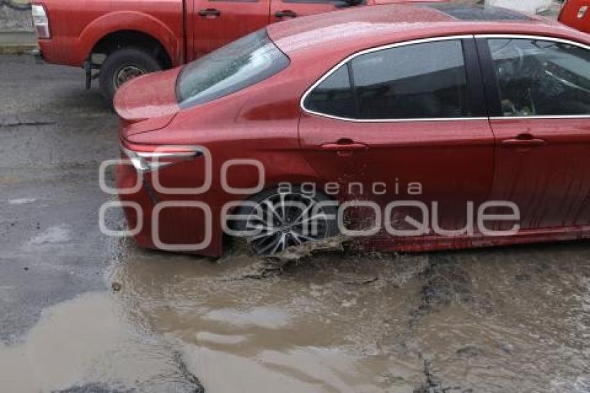 BACHE . BUGAMBILIAS 