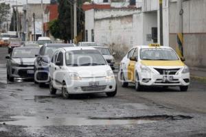 BACHE . BUGAMBILIAS 