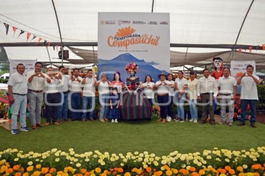 ATLIXCO . VIVEROS CEMPASÚCHIL