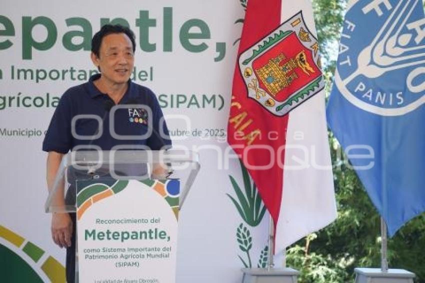 TLAXCALA . QU DONGYU