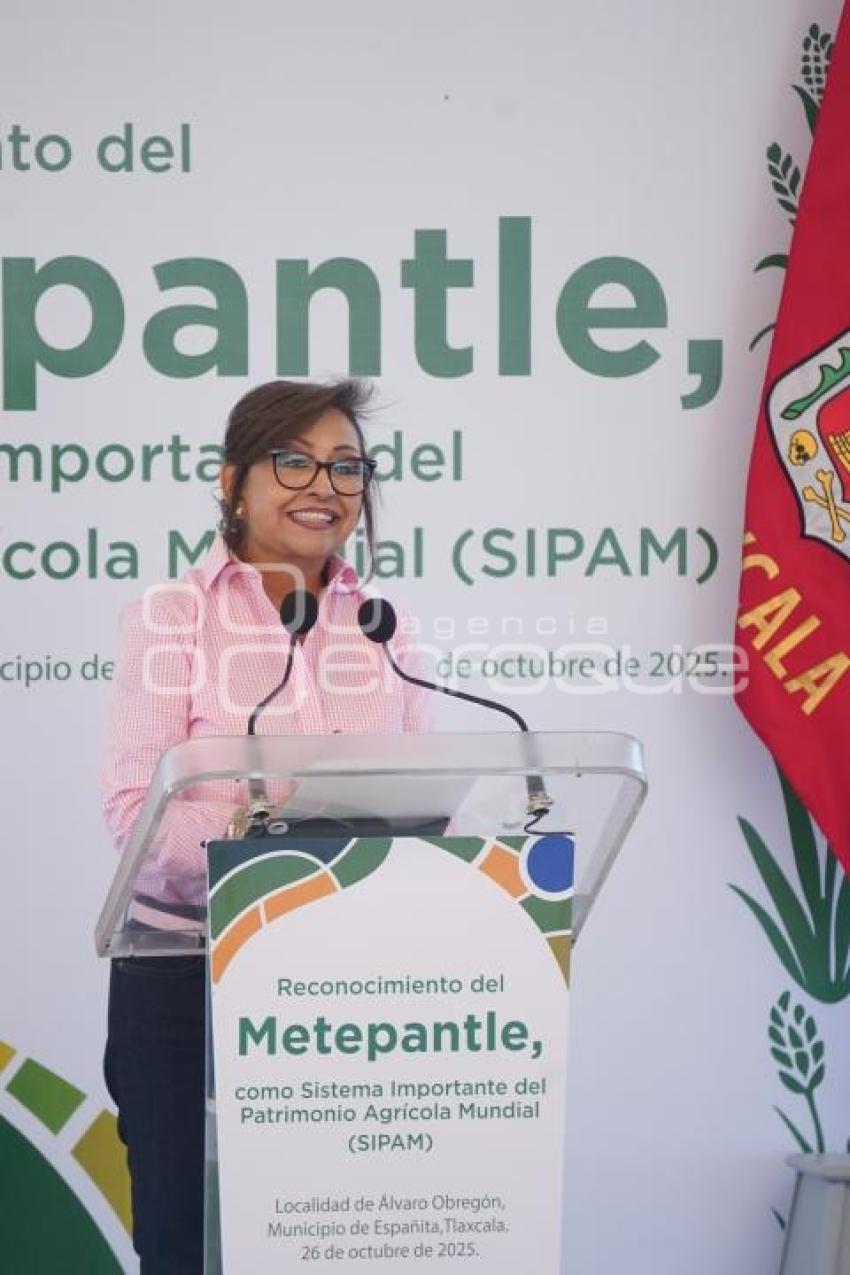 TLAXCALA . LORENA CUÉLLAR CISNEROS