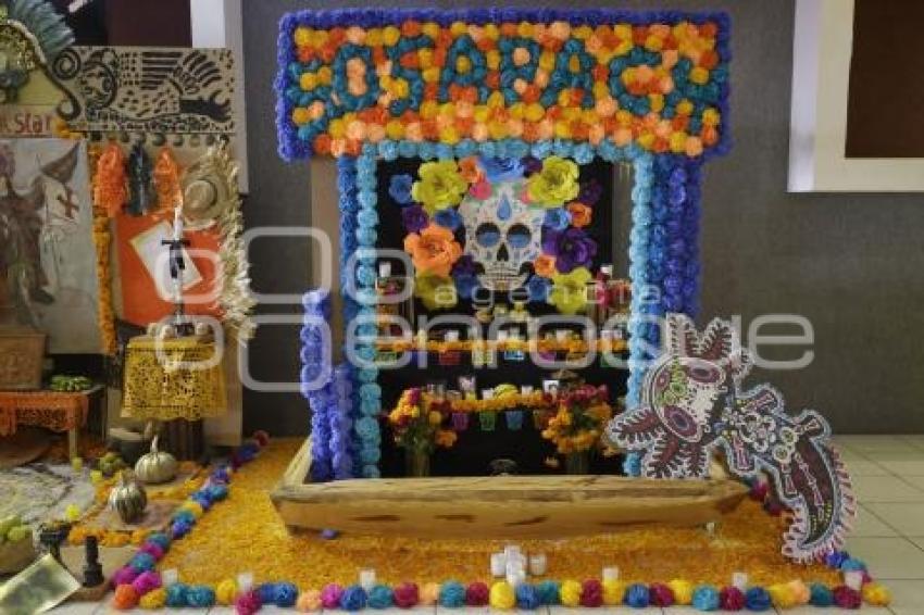 SAN PEDRO CHOLULA . CORREDOR DE OFRENDAS