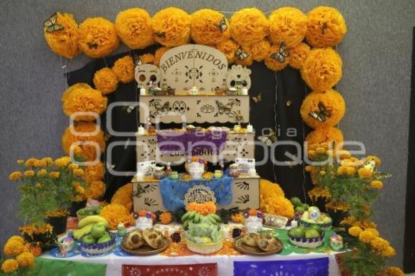 SAN PEDRO CHOLULA . CORREDOR DE OFRENDAS