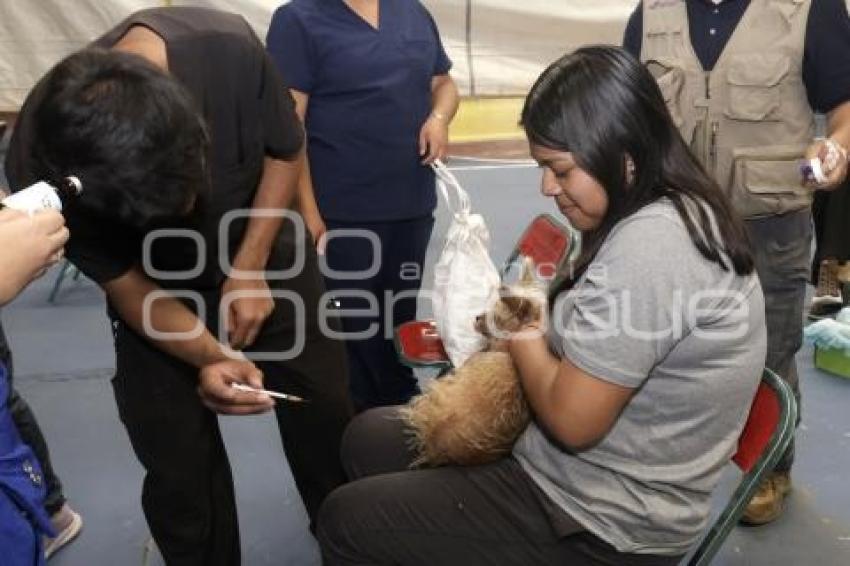 SAN ANDRÉS CHOLULA . JORNADA DE ESTERILIZACIÓN