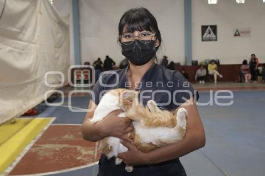 SAN ANDRÉS CHOLULA . JORNADA DE ESTERILIZACIÓN
