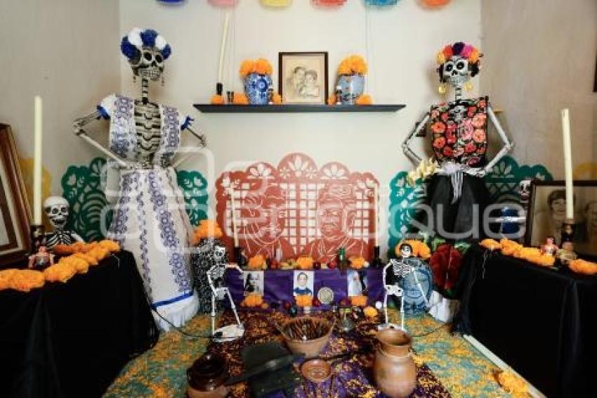 CALAVERITAS DE AZÚCAR . MASCOTAS