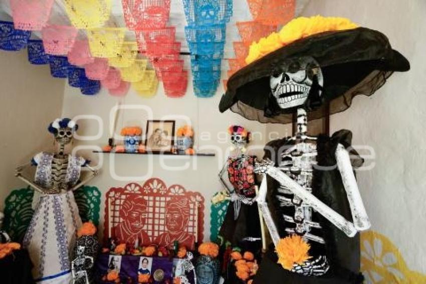 CALAVERITAS DE AZÚCAR . MASCOTAS