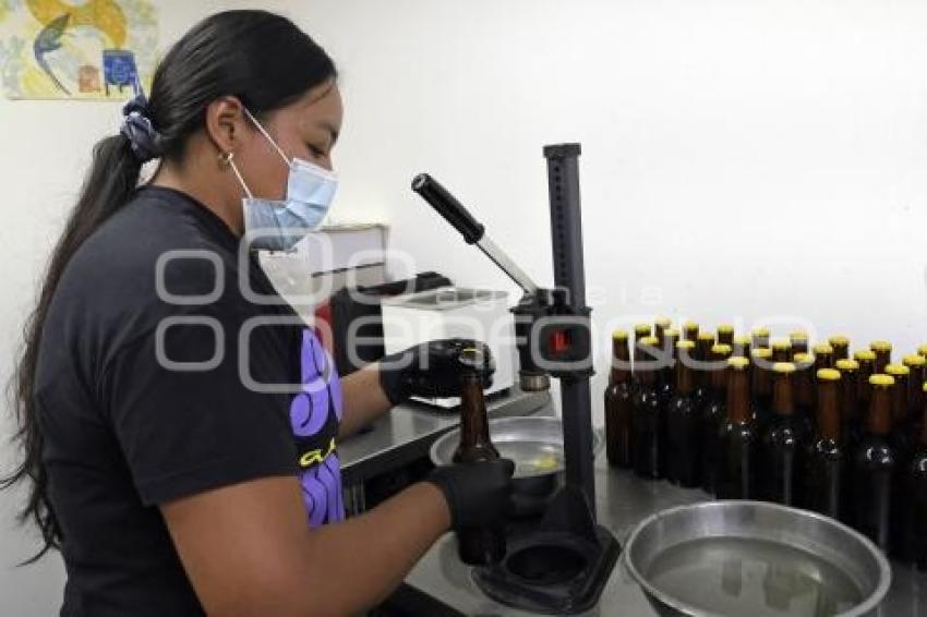 CERVEZA TEMPORADA DE MUERTOS